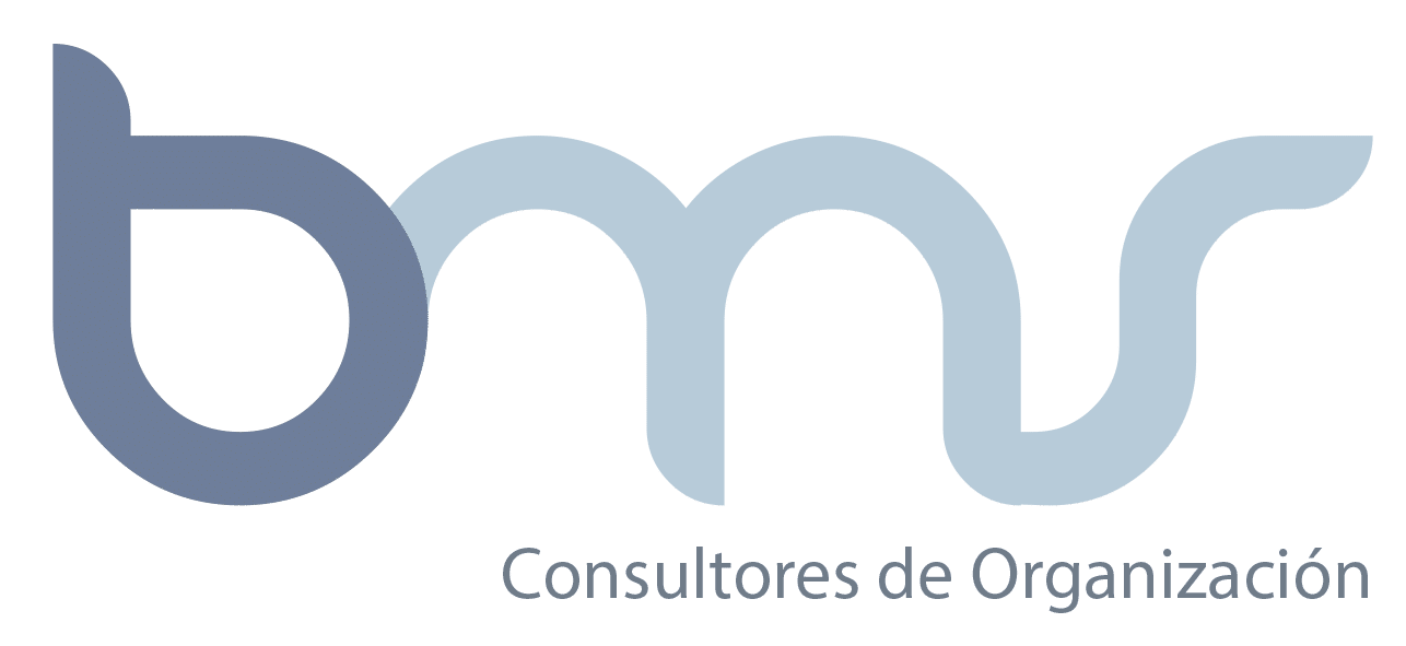 BMS Consultores de Organización